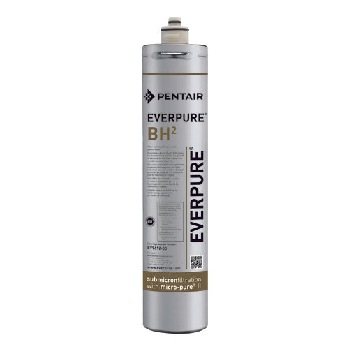 Everpure EV961250